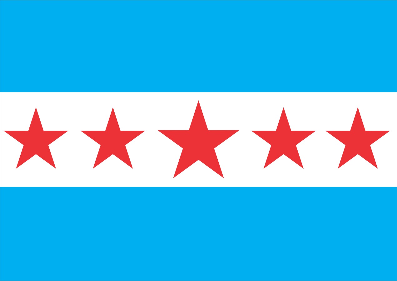 Bandeira Oficial