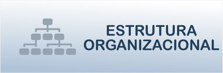 Estrutura Organizacional